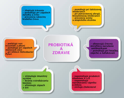 probiotika-infografika